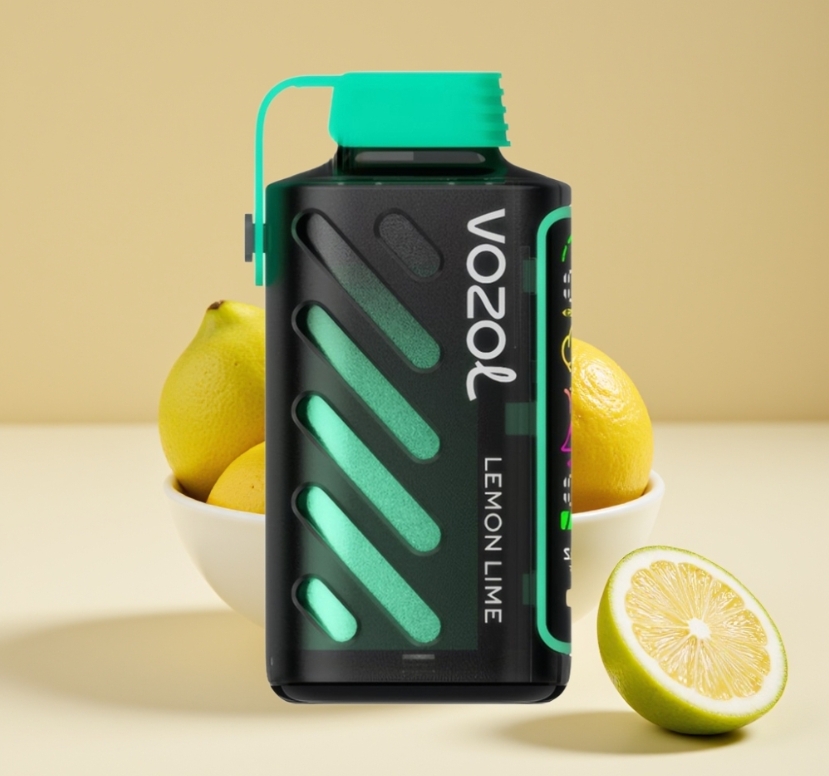 VOZOL Gear Power 20000 et VOZOL Vista 20000 : deux géants qui redéfinissent le vapotage en France en 2025